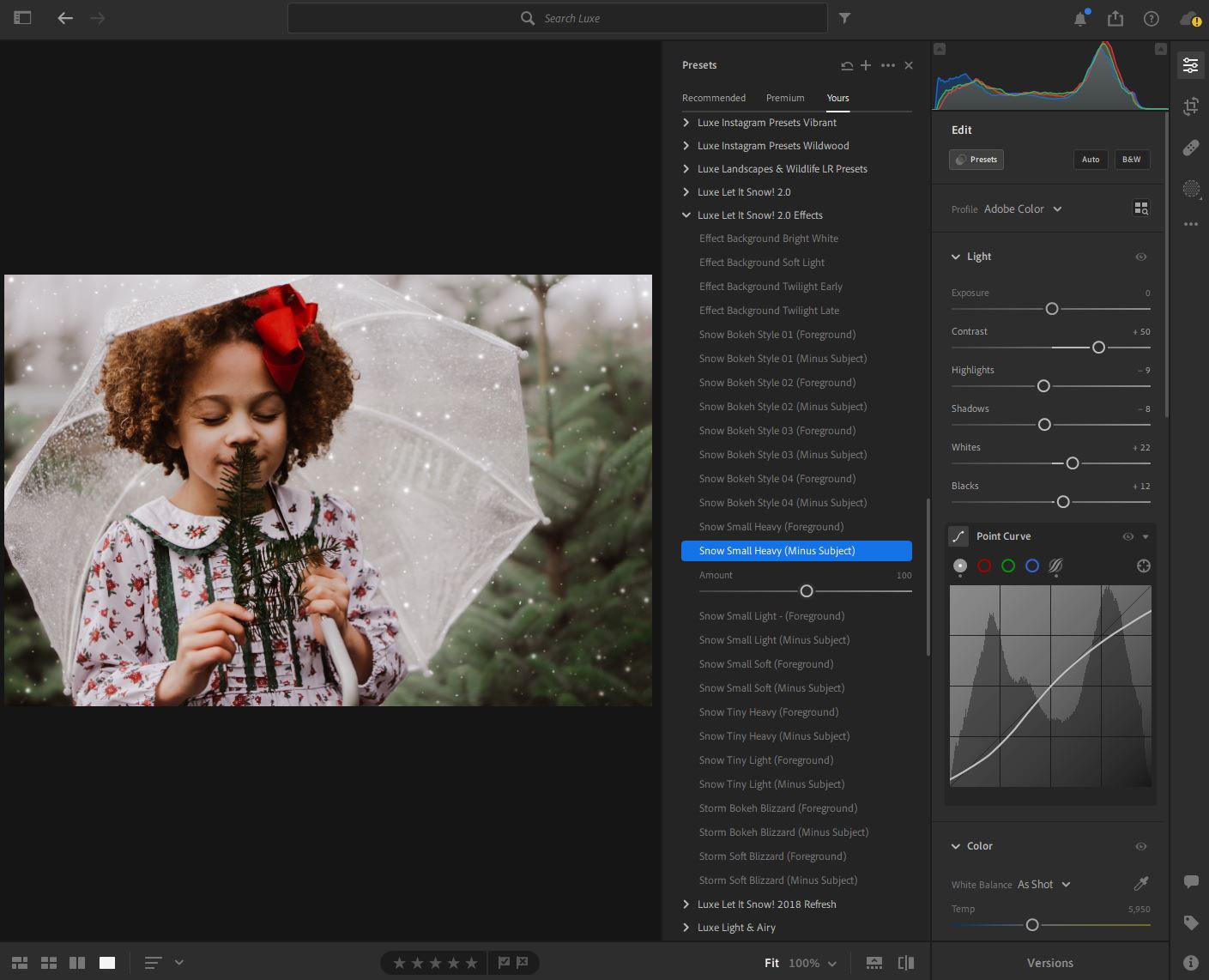 Luxe Let it Snow! 2.0 Presets & Effects Guide The Luxe Lens