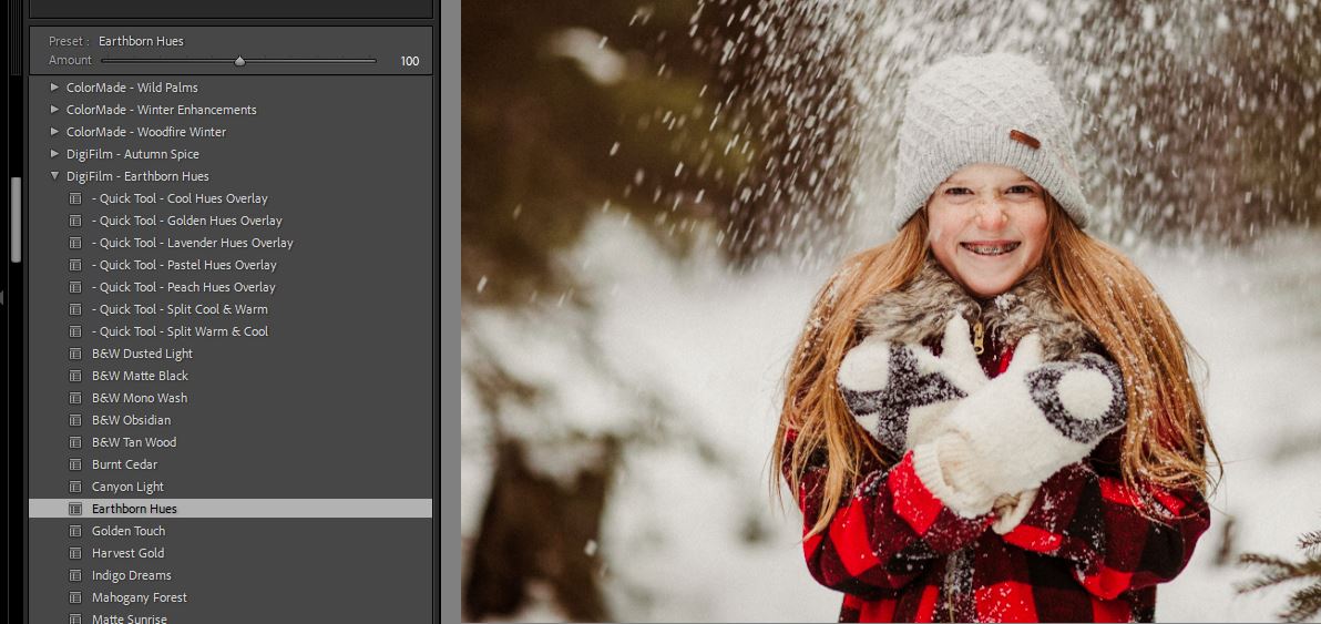 Luxe quick fix ai toolkit how to use your presets the luxe lens