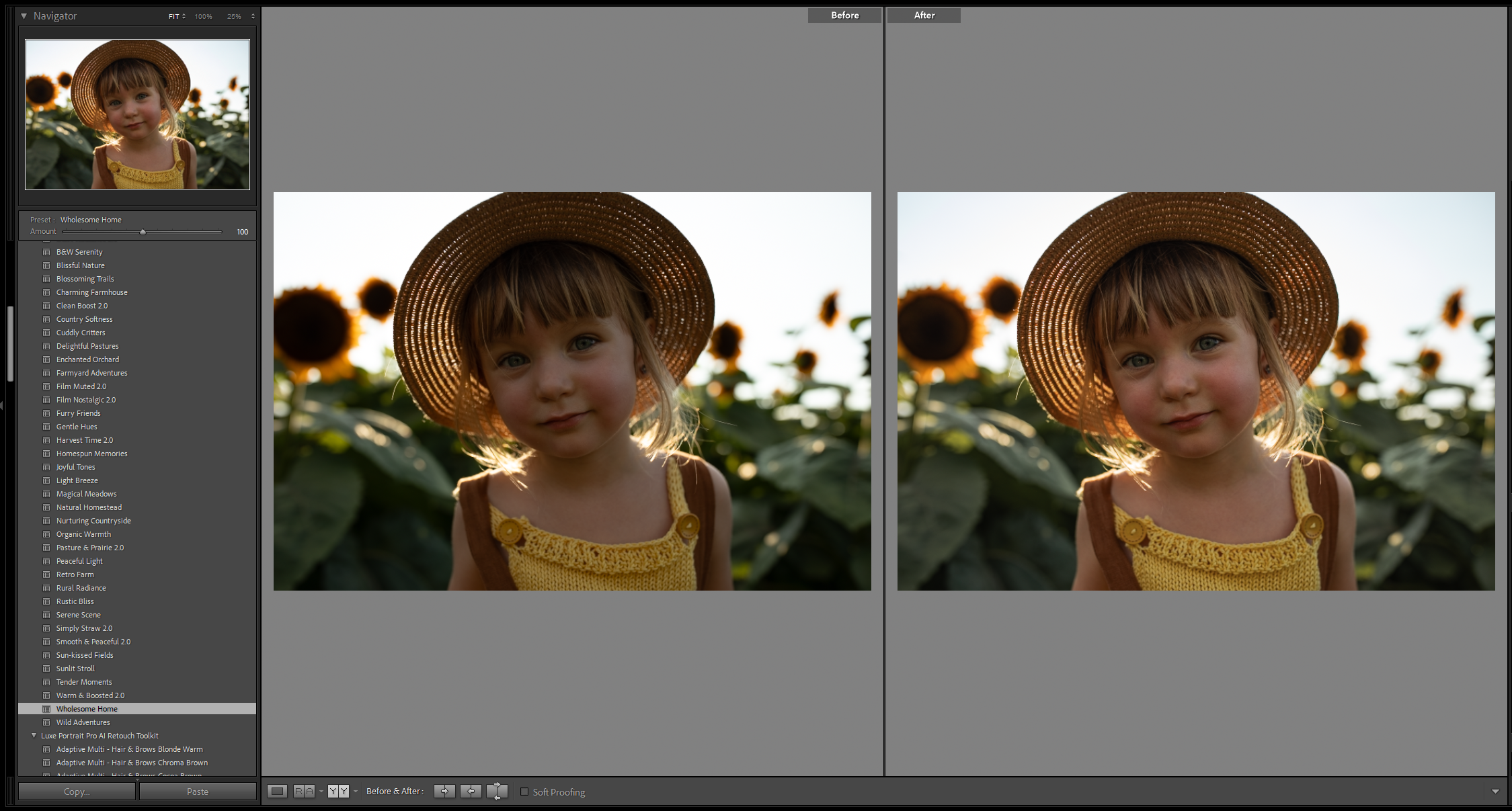 lrc-preset-wholesomehome.PNG