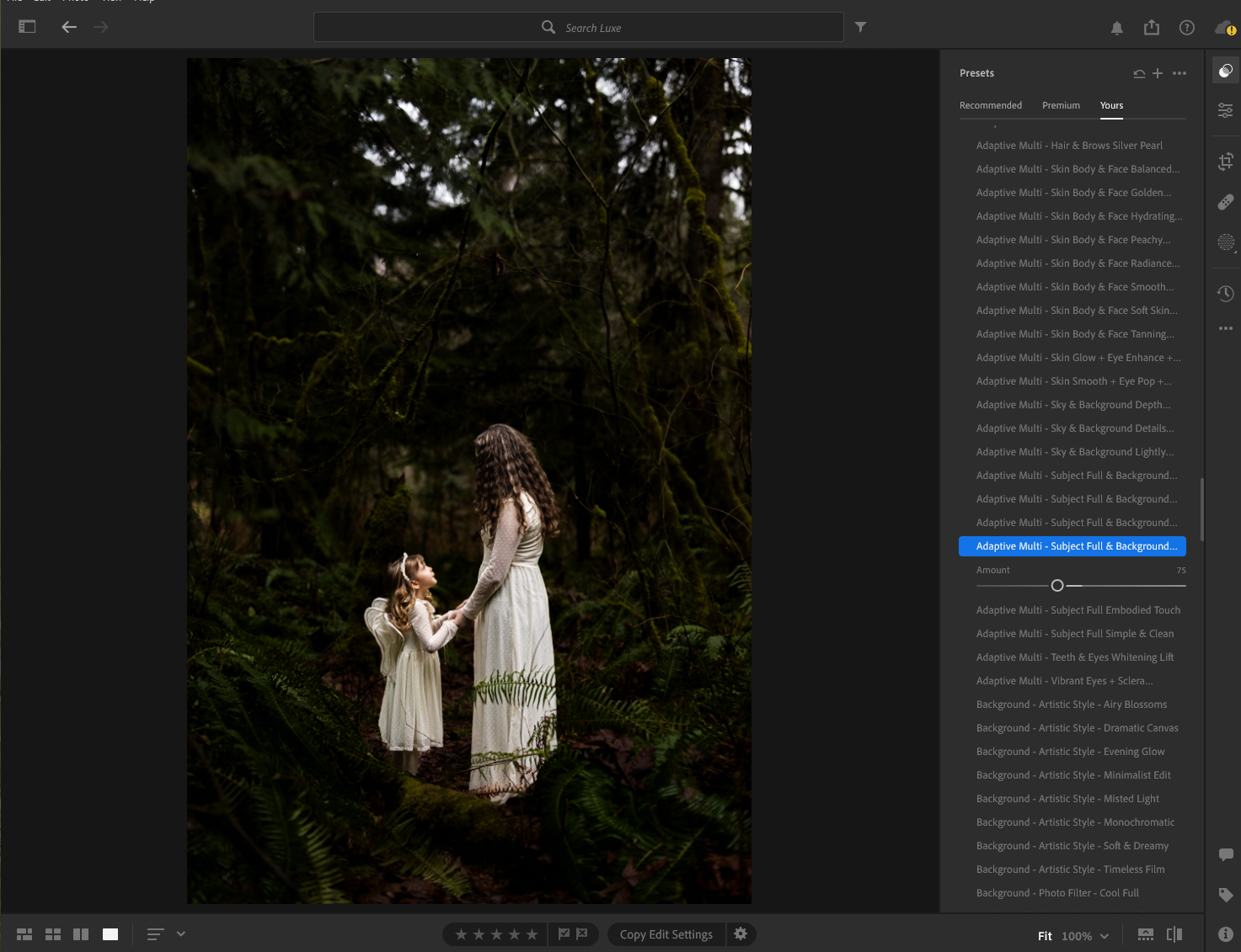 lrcc-ai-1-adaptivemultisubjectfullandbackgroundfoccusedlight.PNG