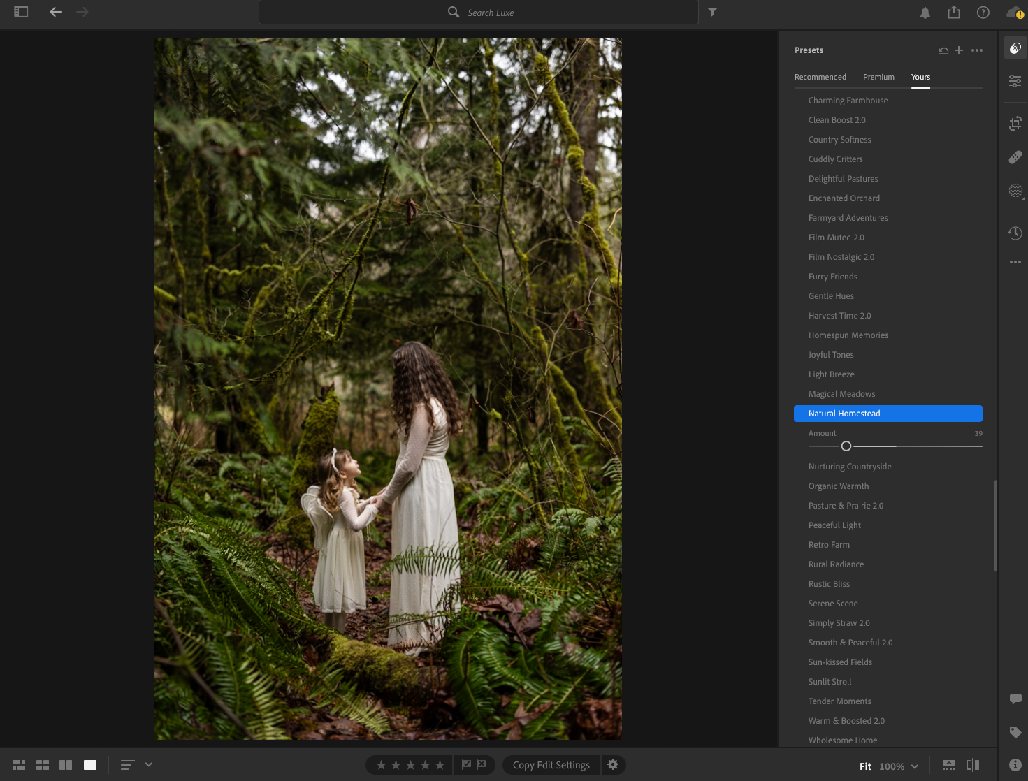 lrcc-preset-naturalhomestead.PNG