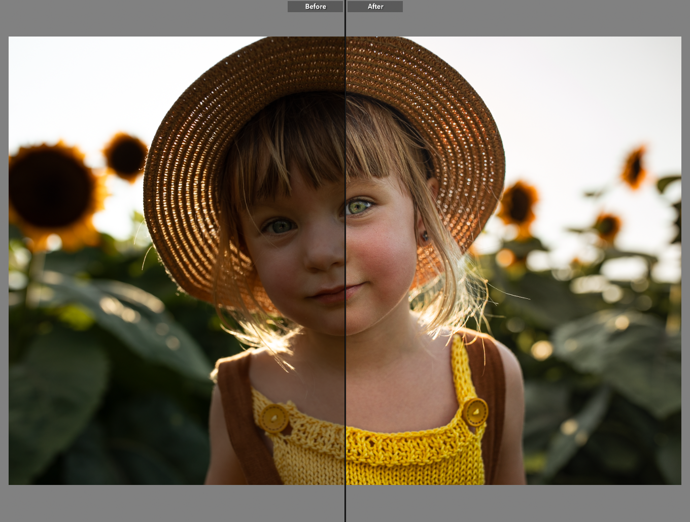 portraitpro-bmiller-example.PNG