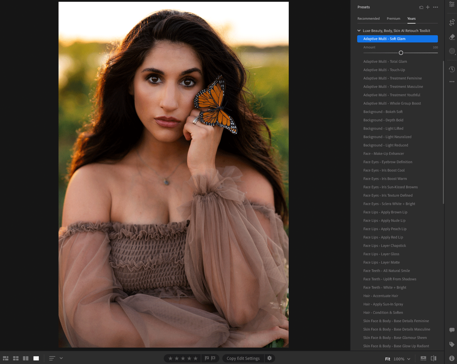 LRCC-aipresets.gif