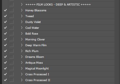 filmlooks-ex.JPG